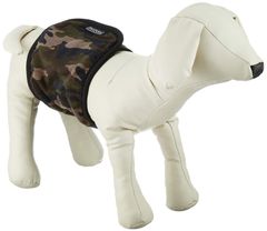 Item thumbnail for item 333d44d4-90d7-4840-9241-b2ccb0644986