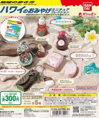 単品販売♯地球の歩き方ハワイのおみやげミニチュアコレクション　バンダイ　ガチャガチャ　ミニチュアフィギュア