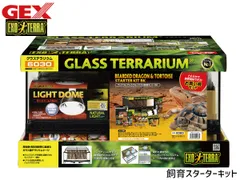 2025年最新】フトアゴヒゲトカゲ飼育セットの人気アイテム