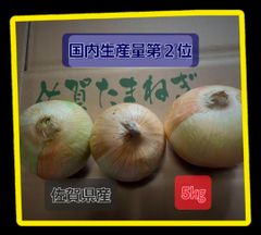 佐賀県産玉葱5kg 新玉ねぎ