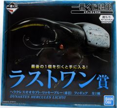 BANDAI SPIRITS 이치 반 쿠지 곤충 세계의 곤충 박물관 라스트 원상 헤라클레스 오오카부토 리키 블루(적목) 피규어