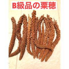 赤粟穂 250g フランス産 - メルカリ