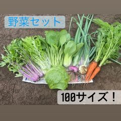 季節の旬の野菜セット100サイズ(冷蔵)