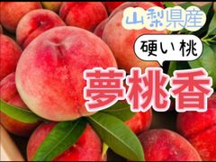 山梨県産　夢桃香　硬いモモ　もも　桃　60サイズ箱満杯