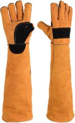 Item thumbnail for item 75a91ff4-0d04-45a0-bd12-dc58b98b9c53