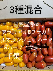 3種混合ミニトマト　フラガール　オランジェ　千果　1kg