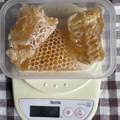 春百花巣蜜　春先に咲く花の巣蜜162.5g 巣みつ　ハチミツ　西洋ミツバチ　コムハニー