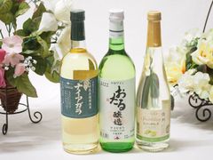 安心院ワイン プティマンサン＆アルバリーニョ2本 合計3本セット