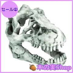 2025年最新】恐竜の骨 化石の人気アイテム - メルカリ