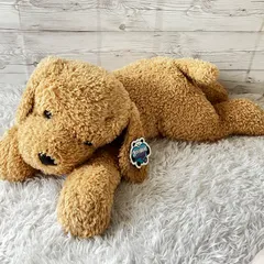 レア　美品　トイザらス　犬ぬいぐるみ　ミニイヌ 美品】トイザらス ミニイヌ ぬいぐるみ - メルカリ