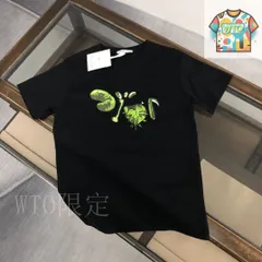 【今日WTO】DIOR 25SS ダブルガーゼ T シャツ-MS55
