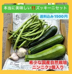 なっちゃんの朝採れ野菜【国産自然栽培ニンニク入り】
