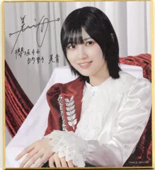 的野美青サイン生写真　2023年クリスマスサンタ衣装 櫻坂46 的野美青 生写真 2023年 クリスマスサンタ衣装 直筆サイン