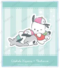 【中古】キャラカード おでかけ子ザメ×ポチャッコ 「おでかけ子ザメ×サンリオキャラクターズ トレーディングアクリルカード」