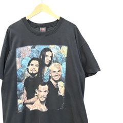90s ビンテージ RED HOT CHILI PEPPERS 両面プリント バンド Tシャツ XL ブラック 90年代 レッチリ ロックT バンT