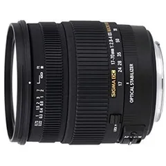 2025年最新】sigma 17-70 ソニーの人気アイテム - メルカリ