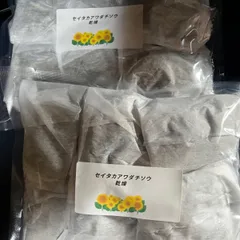 セイタカアワダチソウ　ハーブ　バス　10g✖️12個入り セイタカアワダチソウ ハーブ バス 10g✖️12個入り低 価格