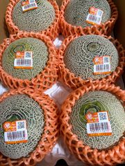 クインシーメロン Lサイズ 箱込 4.5キロ程度 茨城県産