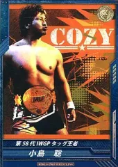 2025年最新】キングオブプロレスリングの人気アイテム - メルカリ