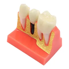 【定価4万円】値下げOK‼️歯科技工士国家試験 教科書9冊セット 問題集】の商品一覧／医歯薬出版株式会社