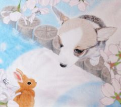 ブランケット　コーギーとうさぎ『ずっと会いたかったんだよ』