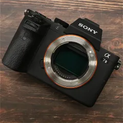 2025年最新】sony a7iiの人気アイテム - メルカリ