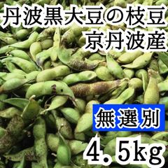 10/25頃発送 【訳あり】4.5kg 無選別　黒豆の枝豆　丹波黒大豆の枝豆　京丹波産　アサイファーム