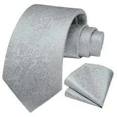 [HISDERN] ペイズリー 柄 ネクタイ チーフ セット メンズ グレー ネクタイ フォーマル 高級 ビジネス ブランド プレゼント パーティー おしゃれ