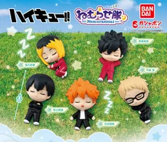 【フルコンプ】ハイキュー!! ねむらせ隊