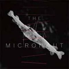 フライドフィッシュ The Micronaut（サンプルCD）