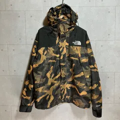 ダウンジャケットTHE NORTH FACE マウンテンダウン レア カモ カモフラージュ 迷彩