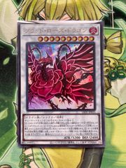 遊戯王 YF07 月華竜 ブラック・ローズ ウルトラ - メルカリ