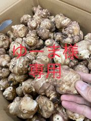 北海道産雪の下菊芋3kg