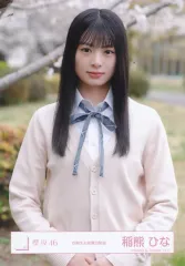 【中古】生写真(坂道シリーズ) 櫻坂46/稲熊ひな/上半身/櫻坂46ランダム生写真【四期生お披露目制服】