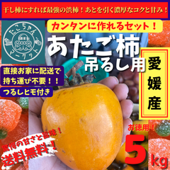 【11月から発送】愛媛県産　高級干柿にも使われる　渋柿　愛宕柿　5キロ