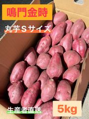 ◯●鳴門金時●◯  Sサイズ 5kg 丸芋●◯鳴門産さつまいも◯●