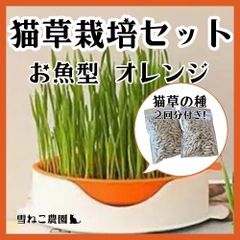 Item thumbnail for item ee91a6d8-7e9a-4533-94ee-46a00721a55c