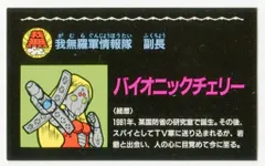 希少バイオチェリー　鉢植え　大株　実付き バイオチェリー」の人気商品一覧 | 安い商品を通販サイトから