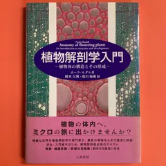 2024年最新】安全学入門の人気アイテム - メルカリ