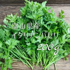 パスレー イタリアンパセリ 200g