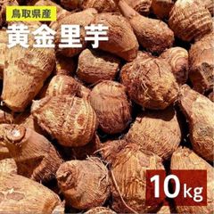 【鳥取県産】黄金里芋 女早生芋 宅急便 10kg さといも サトイモ 山芋