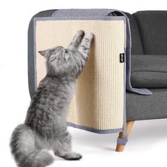 Item thumbnail for item 32441313-2bba-4d09-b899-0c49c377432e