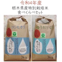 栃木県産コシヒカリ、ゆうだい21【食べくらべセット】白米3kg×2袋(計6kg)