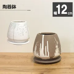 観葉植物 新生活 鉢 おしゃれ 陶器鉢 4号 デザイン陶器 ソーサー付 選べるカラー ブラウン ホワイト ベージュ 茶 白 鉢植え 植木鉢 人気 誕生日 インテリア リビング 送料無料 植物 DB60