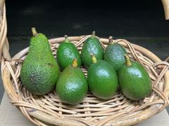 【残り1点　超希少！】愛媛産アボカド食べ比べ（約800g4〜6個）