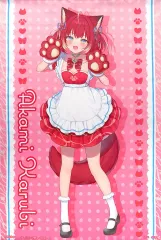 赤見かるびのお笑いかるび塾 プラチナムザッカタペストリー まとめ売り★ 赤見かるびのお笑いかるび塾 プラチナムザッカタペストリー A B