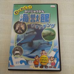 走り屋ZERO ーストリート伝説ー レンタル専用 中古 DVD ケース