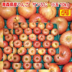 青森県産　りんご　訳あり　スマートフレッシュ　サンふじ　小玉４６～６０玉　１０kg　皮ごとまるかじり！　送料無料！