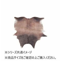 Item thumbnail for item b055fd06-5d15-42cf-8d9d-e501163581f5