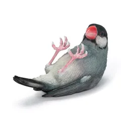 2025年最新】文鳥 置物の人気アイテム - メルカリ